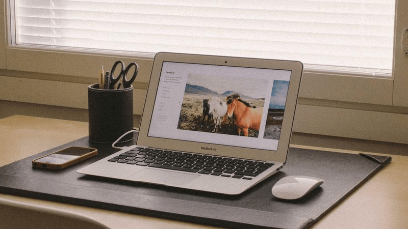 Bookshelf - professional stock photography
