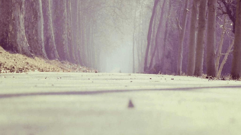 Kitchen Design - professional stock photography