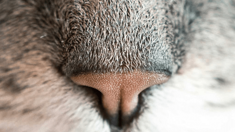 Lamp - professional stock photography