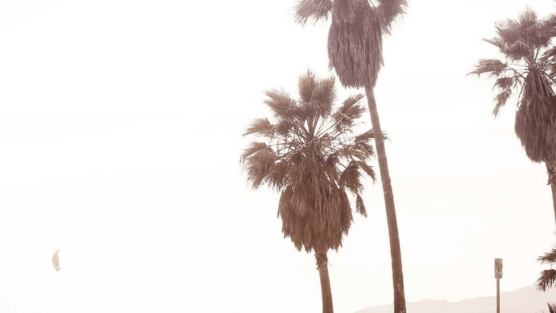 Lamp - professional stock photography