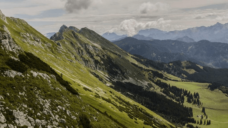 Mirror - professional stock photography