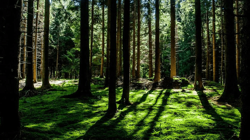 Mirror - professional stock photography