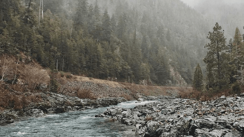 Plants - professional stock photography