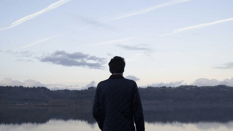 Plants - professional stock photography