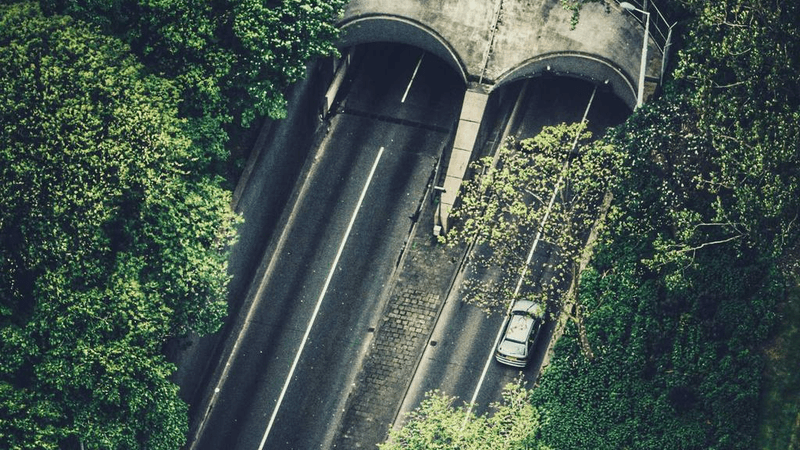 Plants - professional stock photography