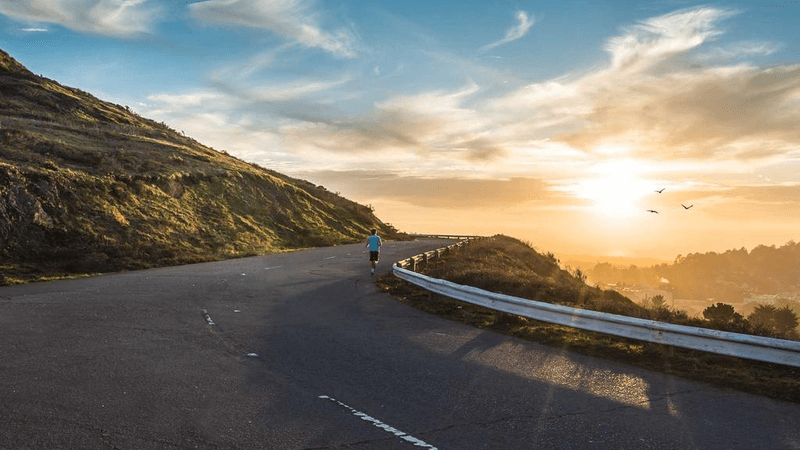 Rug - professional stock photography