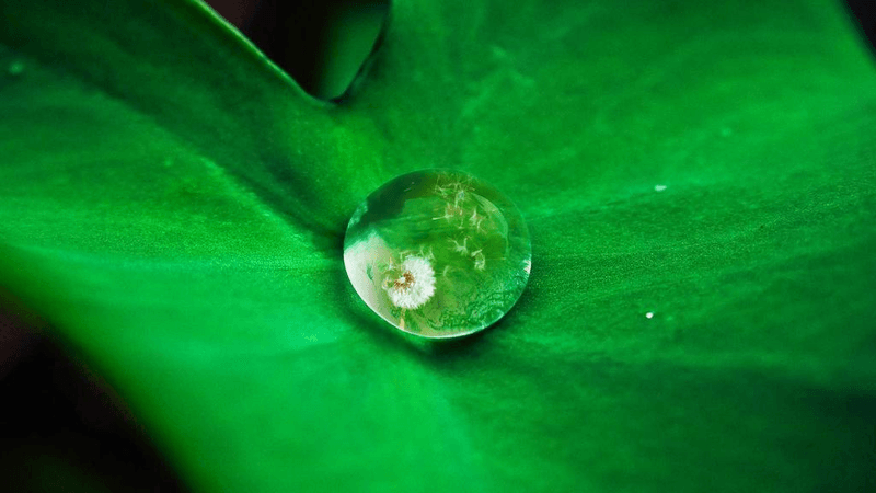 Rug - professional stock photography