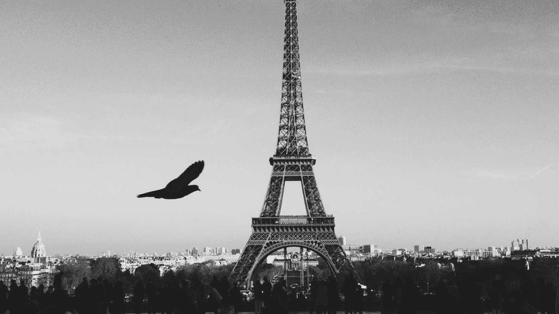 Sofa - professional stock photography