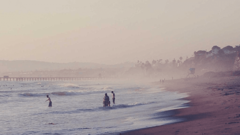 Vase - professional stock photography